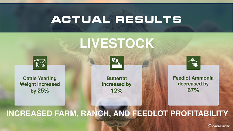 Livestock results from using organic humates
